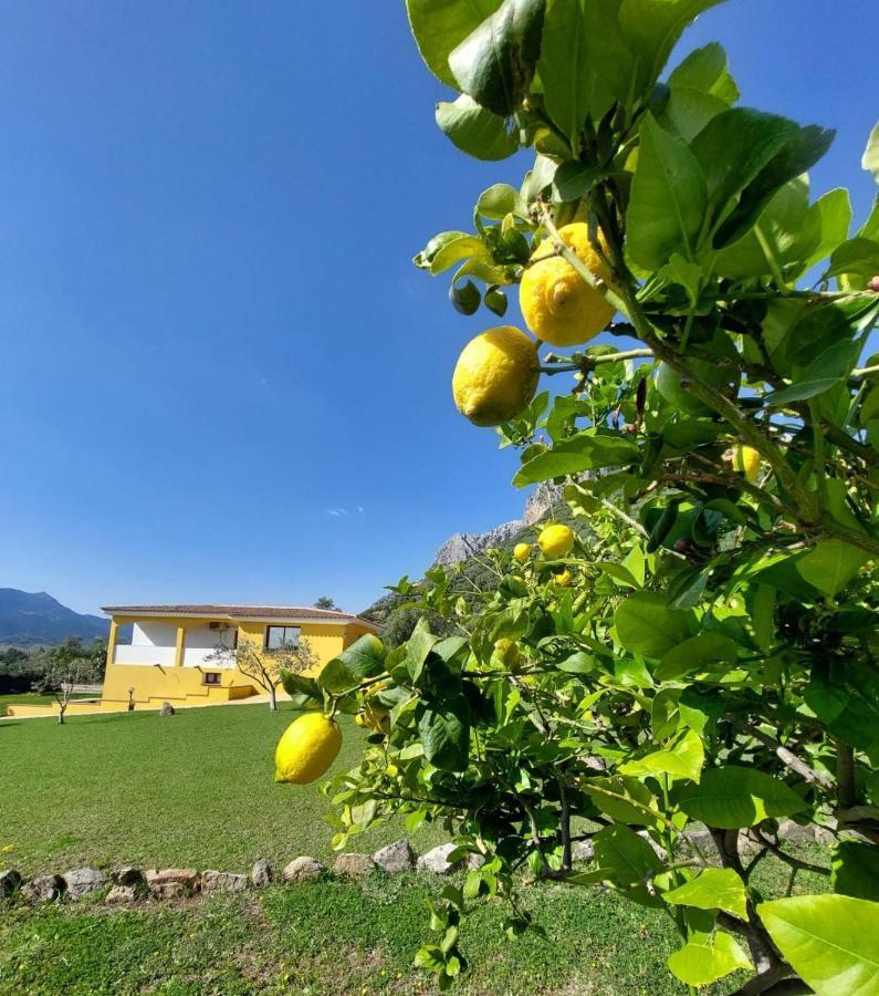 Indipendente con PISCINA USO ESCLUSIVO Siniscola Exterior foto